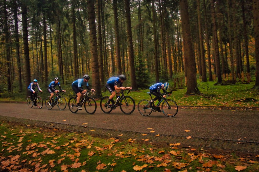 Ploeg in formatie door het bos
