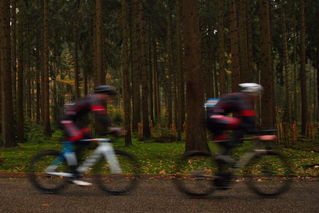 Op snelheid tussen de bomen