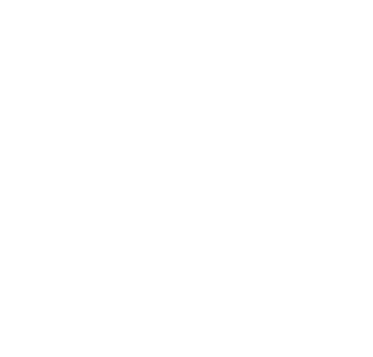 VEENON bicycles